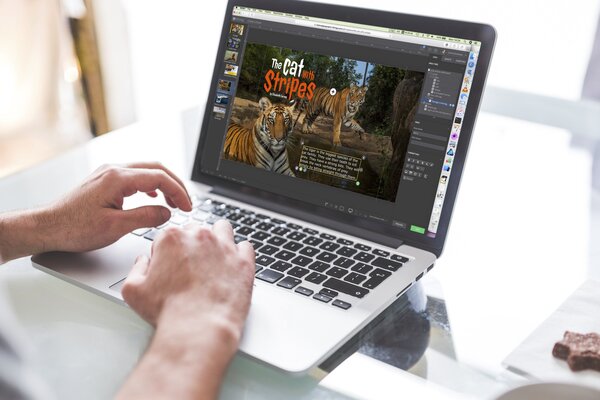 H5mag als design tool voor grote bedrijven en independent agencies H5mag als design tool voor grote bedrijven en independent agencies